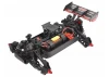 Corally Punisher 4S RTR