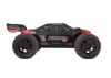Corally Punisher 4S RTR