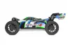 Corally Syncro-4 Brushless 4S Basher Buggy RTR - Green/Blue