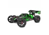 Corally Asuga XLR 6S
