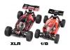 Corally Asuga XLR 6S Roller