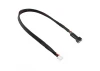 Corally Balancer Lead 2S - Battery 2S XH Connector