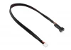 Corally Balancer Lead 2S - Battery 2S XH Connector