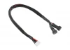 Corally Balancer Lead 2 X 2S - Battery 2X 2S Xh Connec