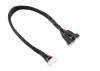 Corally Balancer Lead 2 X 3S - Battery 2X 3S Xh Connec