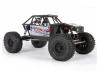 Axial Capra 1.9 Builders Kit