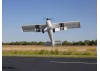 E Flite Timber 1.5m 10th Anniversary Special Edition - BNF Basic