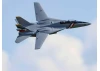 E Flite F-14 Tomcat Twin 40mm EDF - BNF Basic