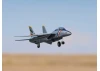 E Flite F-14 Tomcat Twin 40mm EDF - BNF Basic