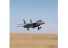 E Flite F-14 Tomcat Twin 40mm EDF - BNF Basic