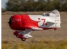 E Flite Gee Bee R-2 1.0m - BNF Basic