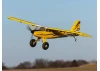 E Flite Super Timber 1.7m - BNF Basic with AS3X and SAFE Select