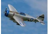 E Flite P-47 Razorback 1.2m - PNP