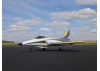 E Flite Habu SS 70mm EDF Jet - BNF Basic