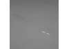 Pushrod Set : Air Tractor