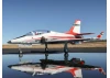 E Flite Viper 90mm EDF - BNF Basic