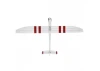 E Flite Night Radian FT - PNP