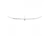 E Flite Night Radian FT - PNP