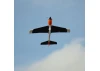 E Flite V900 - BNF Basic