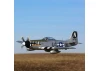 E Flite P-51D Mustang 1.2m AS3X - BNF Basic
