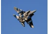 E Flite F-15 Eagle 64mm EDF AS3X - BNF Basic