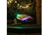 E Flite Night Vapor UMX - RTF