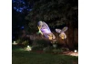 E Flite Night Vapor UMX - RTF