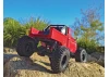 Element RC Enduro 12 Trail Truck Ecto RTR