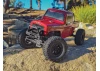 Element RC Enduro 12 Trail Truck Ecto RTR