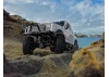 Element RC Enduro 12 Trail Truck Bushido RTR