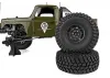 Element RC Enduro Ecto Trail Truck RTR - Green