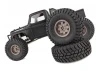 Element RC Enduro Ecto Trail Truck RTR - Black