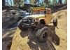 Element RC Enduro Zuul Trail Truck RTR - Tan