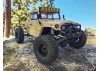 Element RC Enduro Zuul Trail Truck RTR - Tan