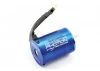 eTronix Photon 2.1 Sensorless 1:10 13.0R 2950Kv Motor