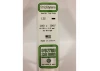 Evergreen 14in (35cm) Strip .030x.040in (10 per pack)