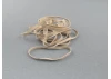 Wingbands White 4 100x6mm (pk12)
