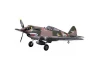 FMS 980mm P-40B Flying Tiger - PNP