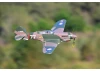 FMS 980mm P-40B Flying Tiger - PNP