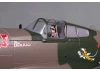 FMS 980mm P-40B Flying Tiger - PNP