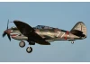 FMS 980mm P-40B Flying Tiger - PNP