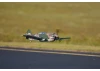 FMS 980mm P-40B Flying Tiger - PNP