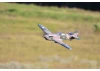 FMS 980mm P-40B Flying Tiger - PNP