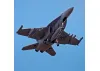 FMS 875mm F/A-18F 70mm EDF ARTF - Grey