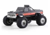 FMS Ford F100 RS