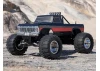 FMS Ford F100 RS