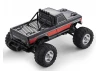 FMS Ford F100 RS