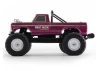 FMS Ford F100 RS