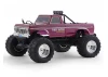 FMS Ford F100 RS