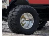 FMS Ford F100 RS